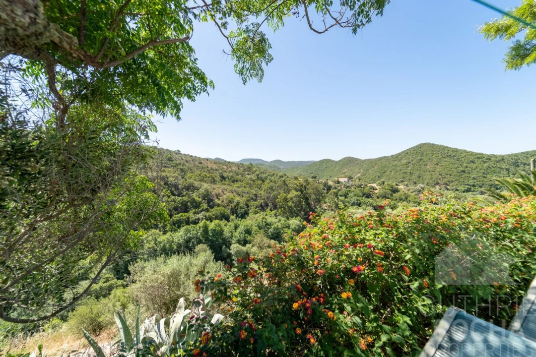 Quinta T3 para Venda em Aljezur Foto 8