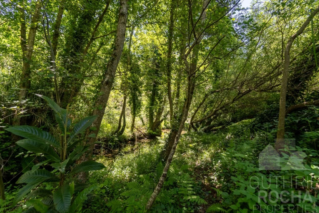 Quinta T3 para Venda em Aljezur Foto 26