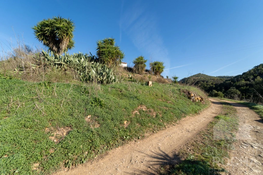 Loja para Venda em Aljezur Foto 16