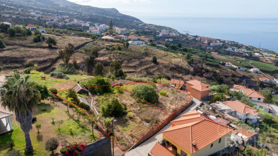 Terreno para Venda em Estreito da Calheta Foto 3