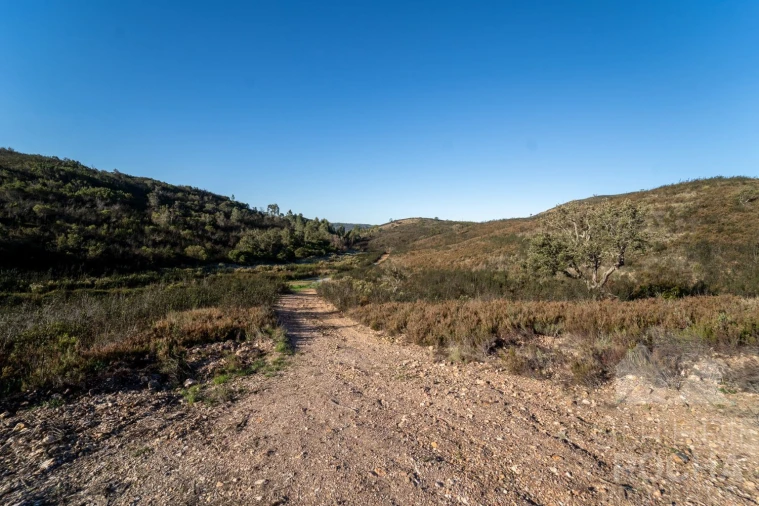 Quinta T10 para Venda em Aljezur Foto 16