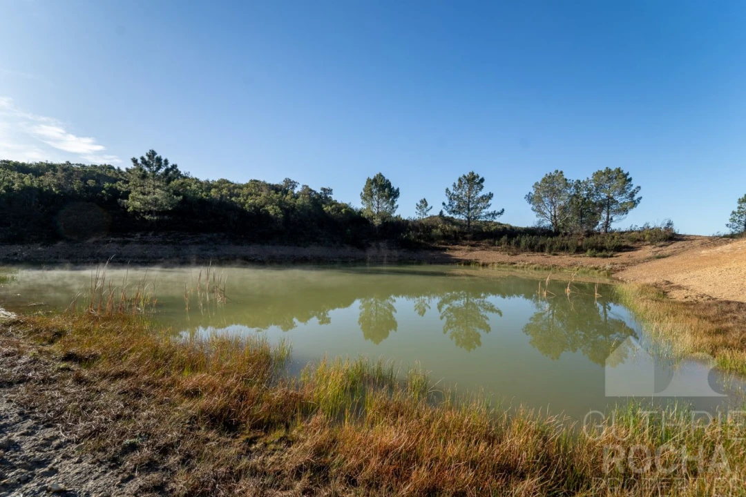 Quinta T10 para Venda em Aljezur Foto 14