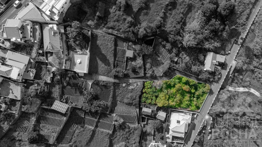 Terreno para Venda em Arco da Calheta Foto 8