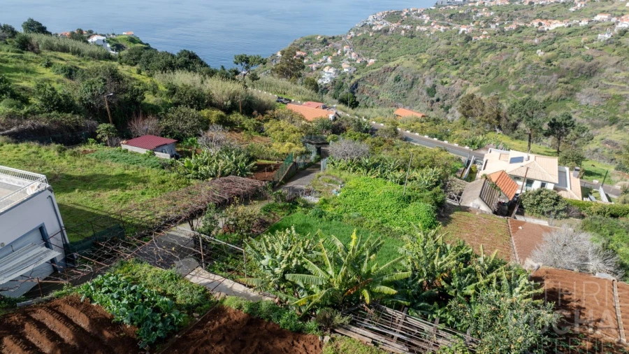 Terreno para Venda em Arco da Calheta Foto 9
