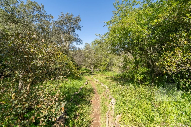 Quinta T2 para Venda em Aljezur Foto 30