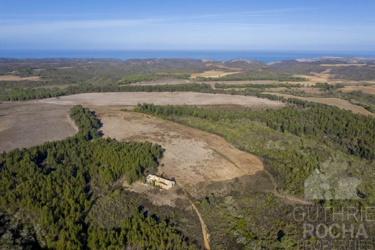Terreno para Venda em Vila do Bispo e Raposeira Foto 12