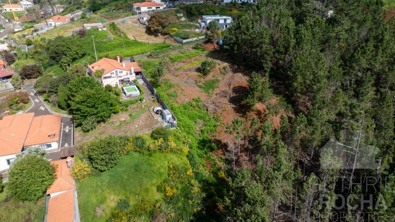 Terreno para Venda em Prazeres Foto 12