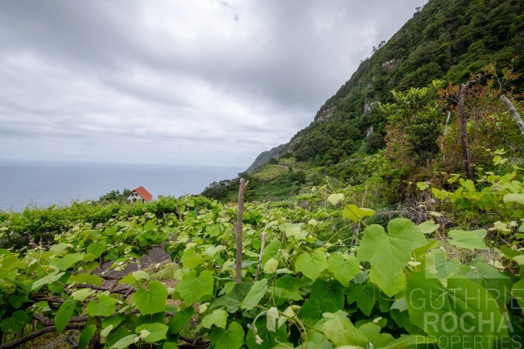 Terreno para Venda em São Jorge Foto 8