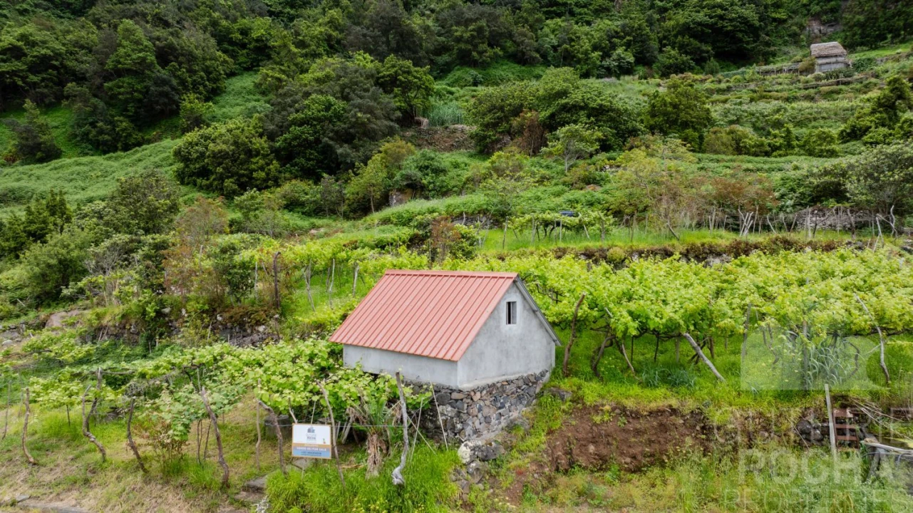 Terreno para Venda em São Jorge Foto 3