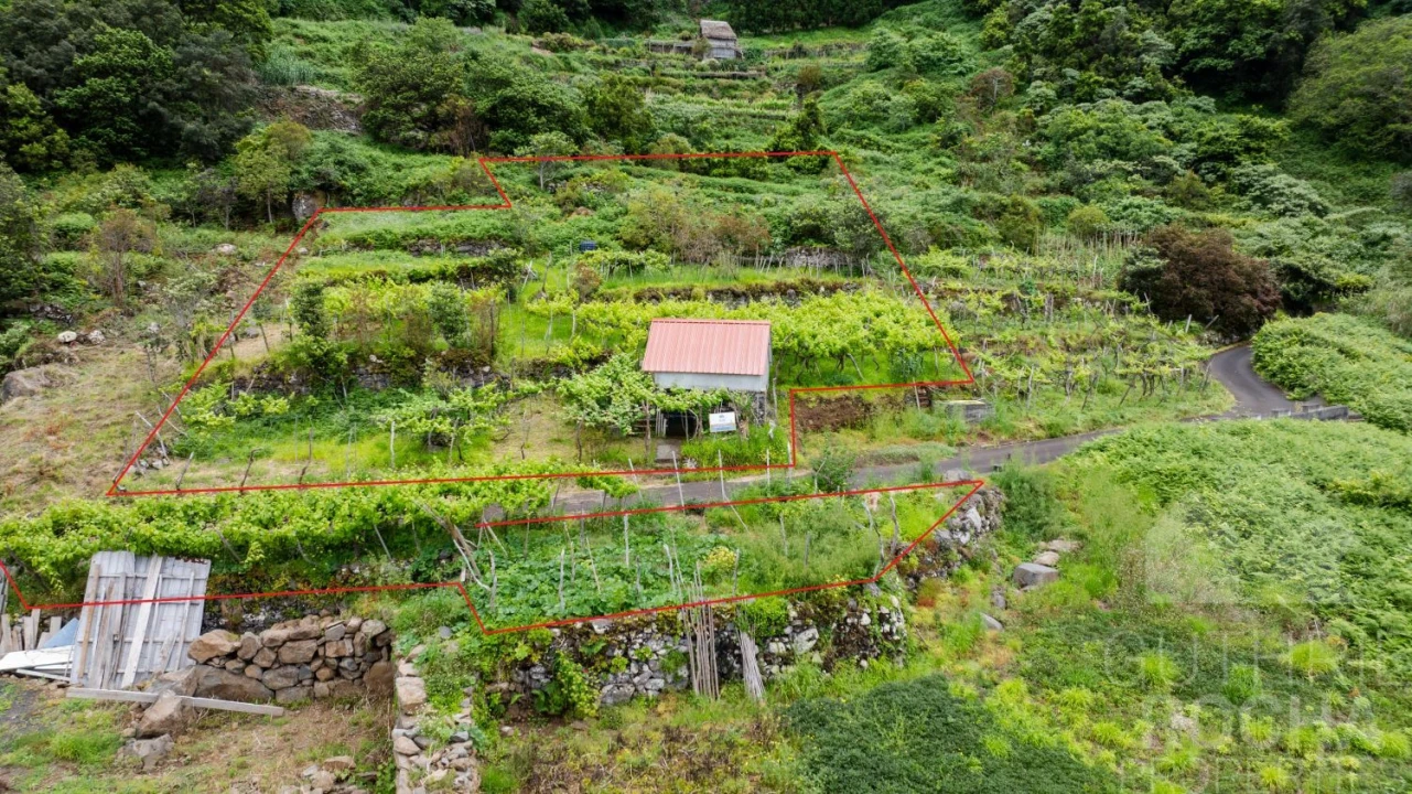 Terreno para Venda em São Jorge Foto 6