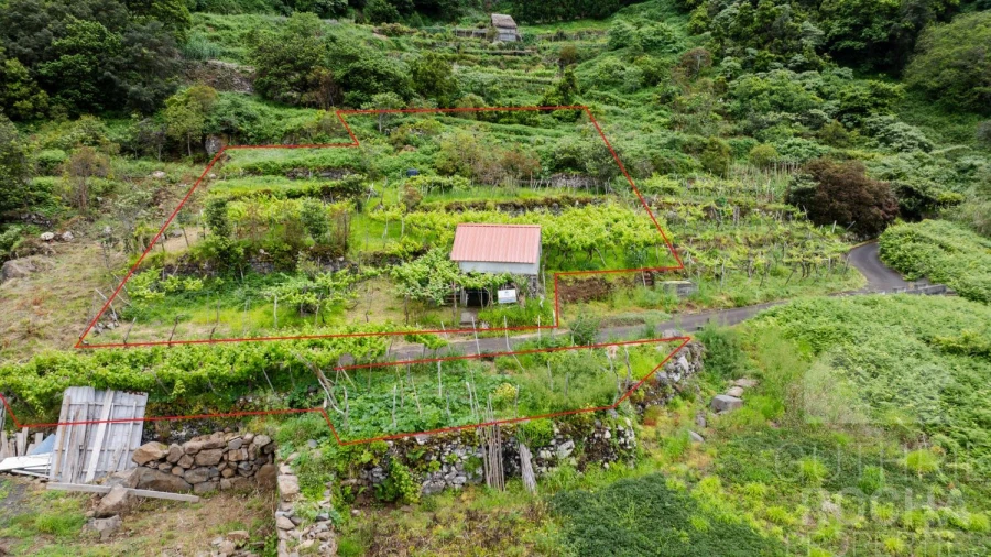 Terreno para Venda em São Jorge Foto 6