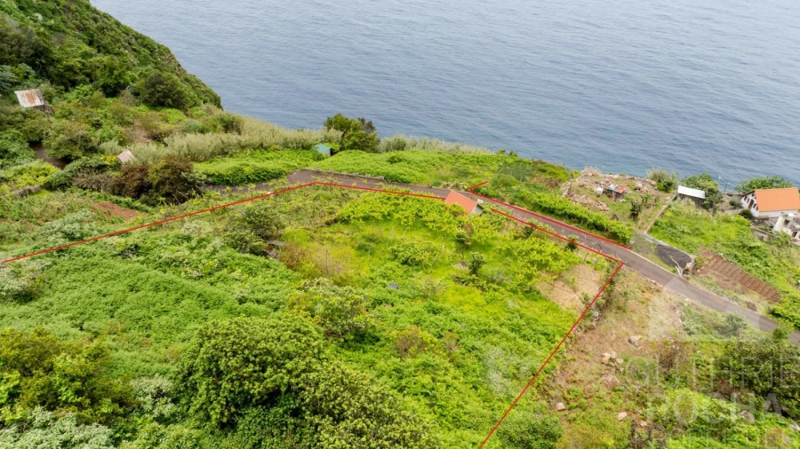 Terreno para Venda em São Jorge Foto 15