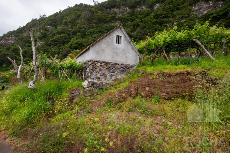 Terreno para Venda em São Jorge Foto 4