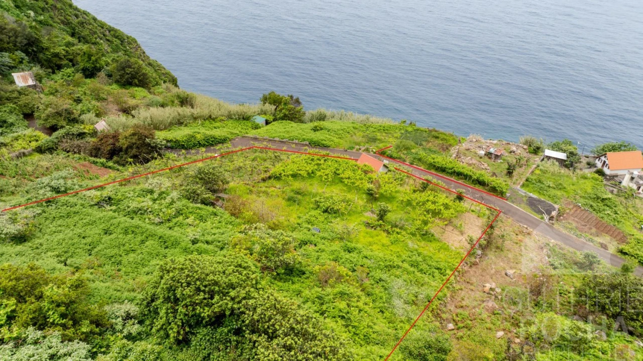 Terreno para Venda em São Jorge Foto 15