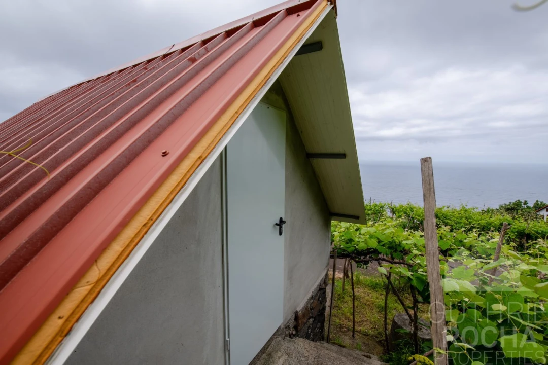Terreno para Venda em São Jorge Foto 5