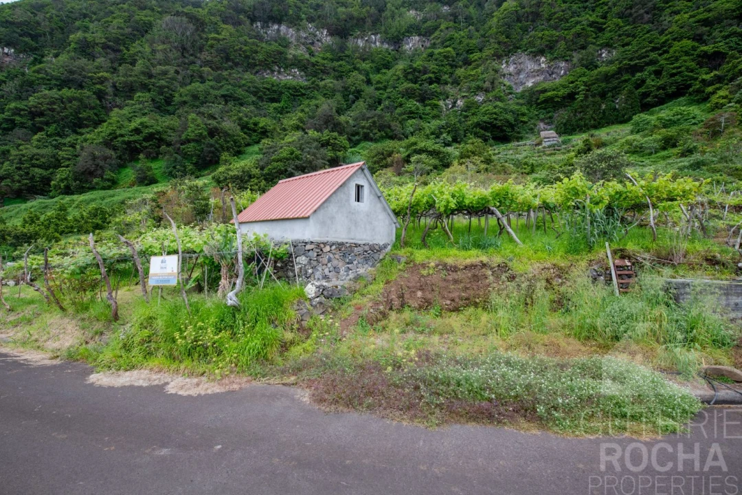 Terreno para Venda em São Jorge Foto 2