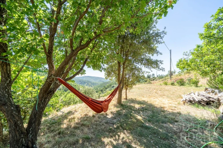 Quinta T0 para Venda em Monchique Foto 4