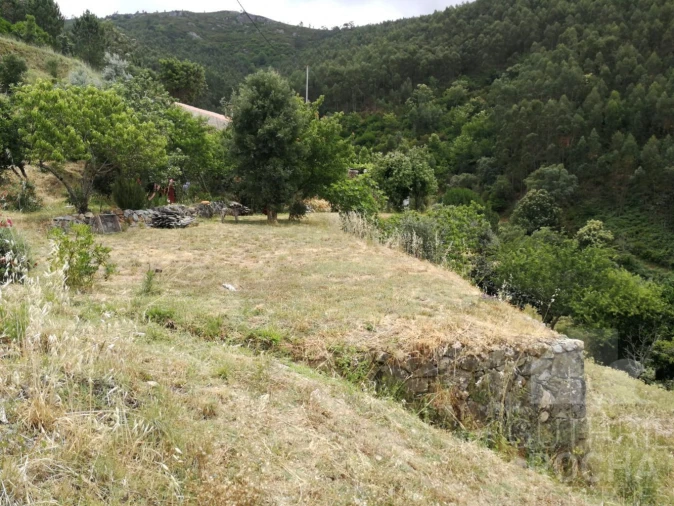 Quinta T0 para Venda em Monchique Foto 20