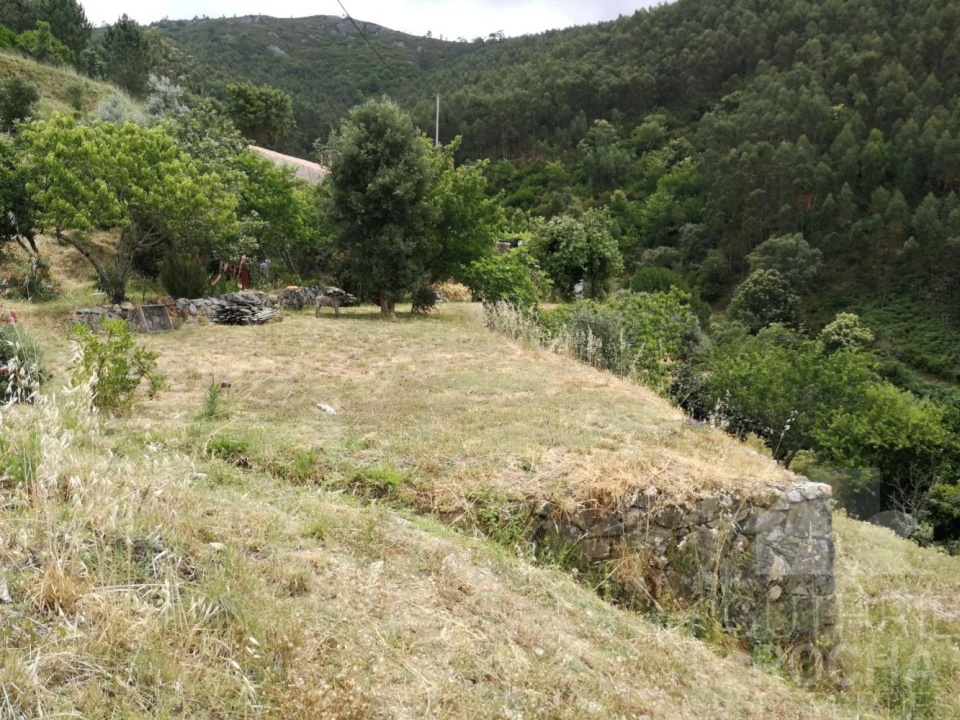 Quinta T0 para Venda em Monchique Foto 20