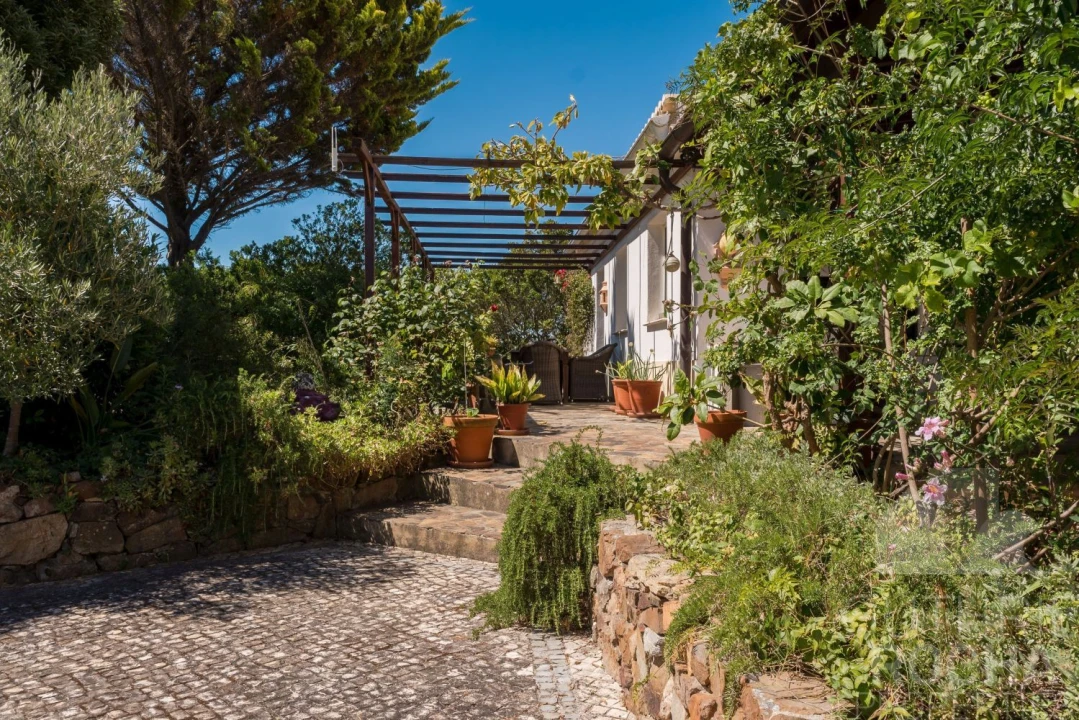 Quinta T8 para Venda em Bordeira Foto 5