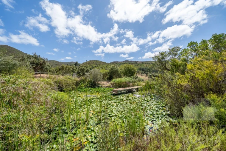 Quinta T4 para Venda em Aljezur Foto 27