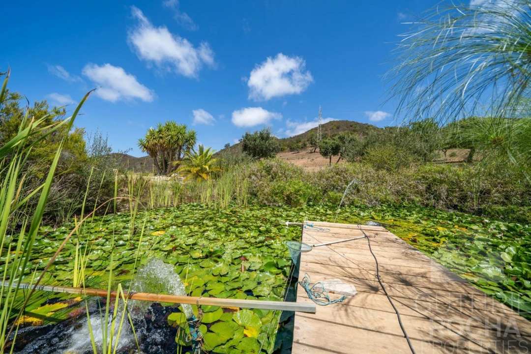 Quinta T4 para Venda em Aljezur Foto 28