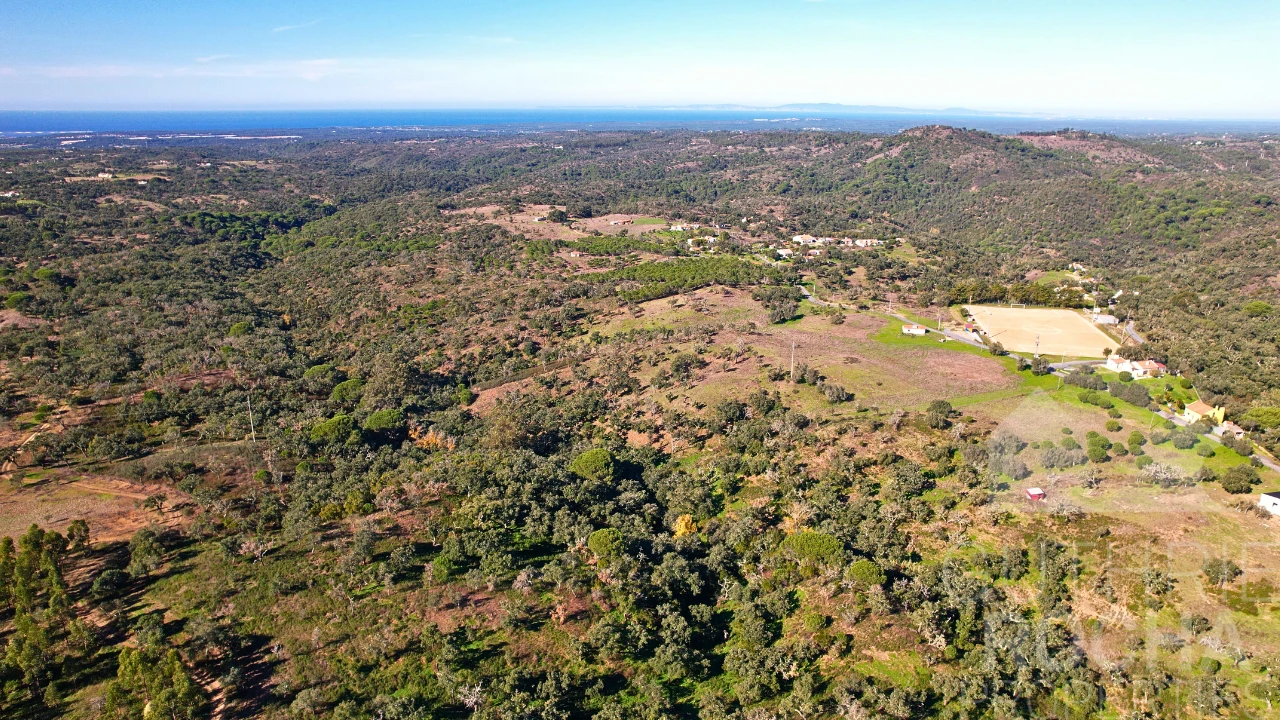 Terreno para Venda em São Francisco da Serra Foto 5