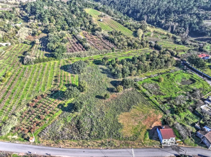 Terreno para Venda em Roliça