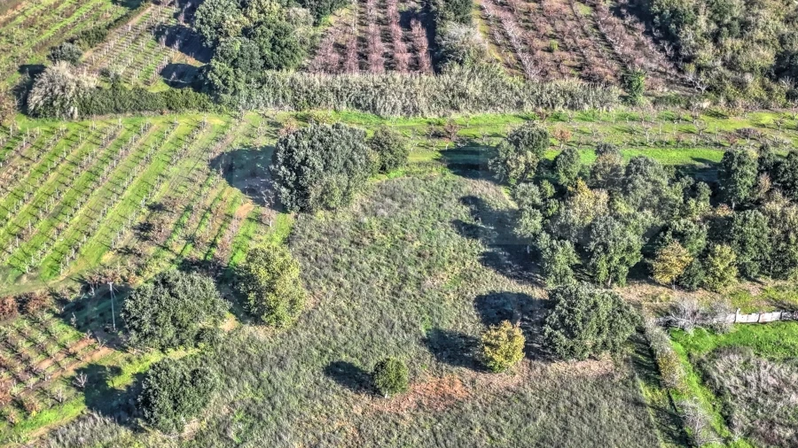 Terreno para Venda em Roliça