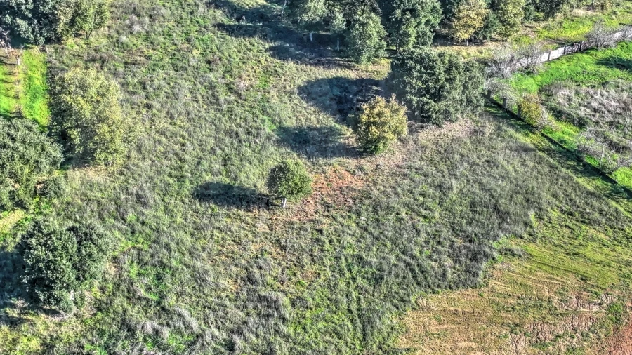 Terreno para Venda em Roliça