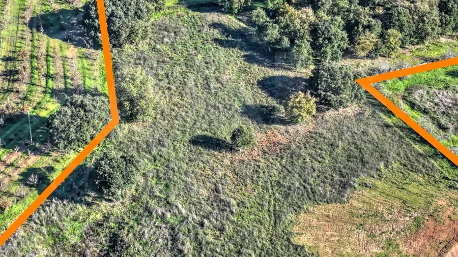 Terreno para Venda em Roliça