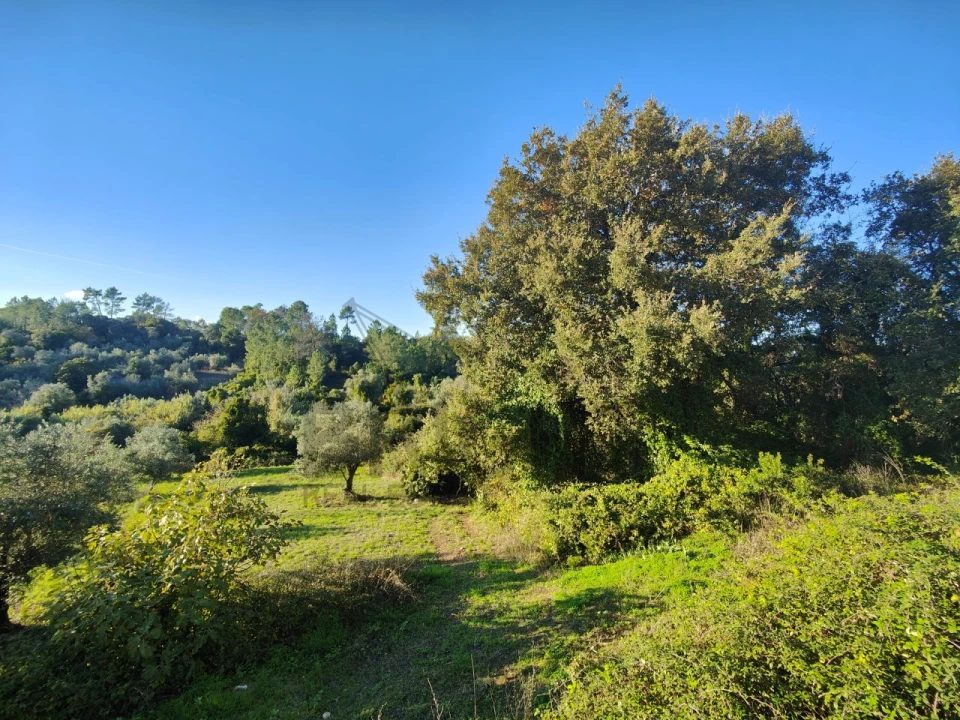 Moradia T3 para Venda em Madalena e Beselga Foto 13