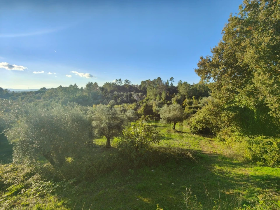 Moradia T3 para Venda em Madalena e Beselga Foto 61