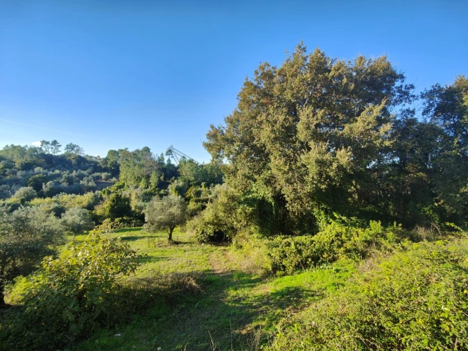 Moradia T3 para Venda em Madalena e Beselga Foto 60