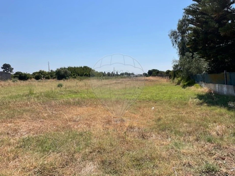 Terreno para Venda em Marinhais Foto 3