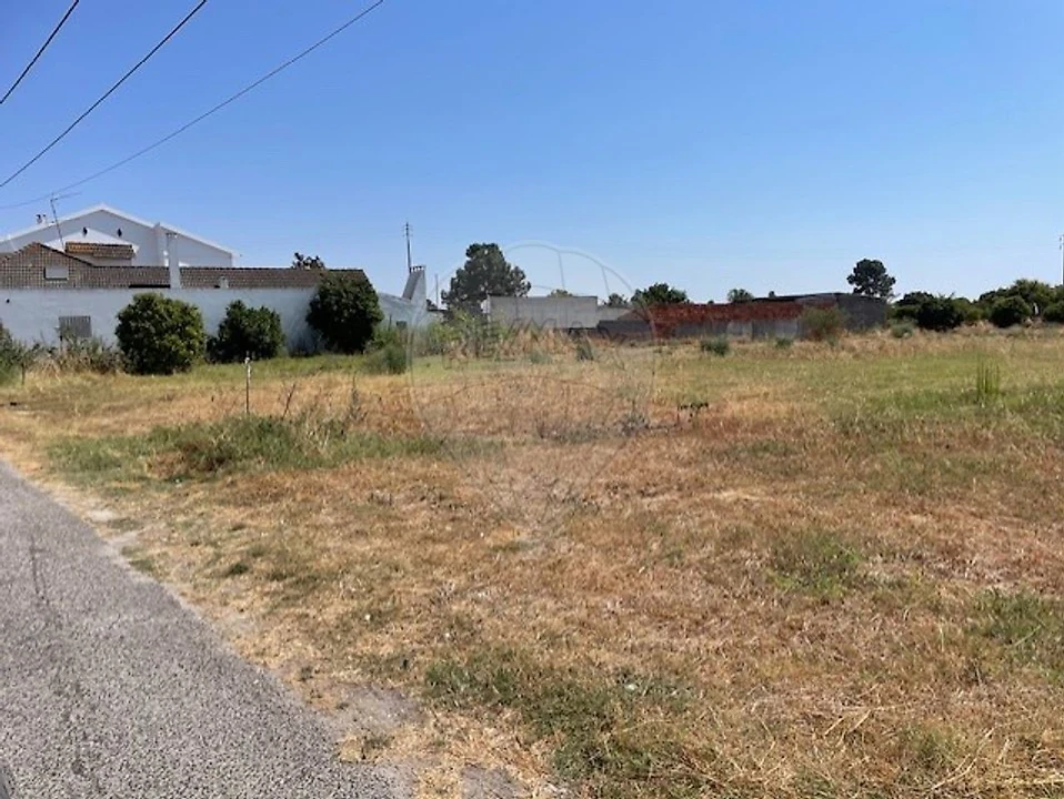 Terreno para Venda em Marinhais Foto 2