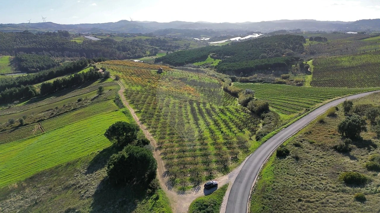 Terreno para Venda em Turcifal Foto 5