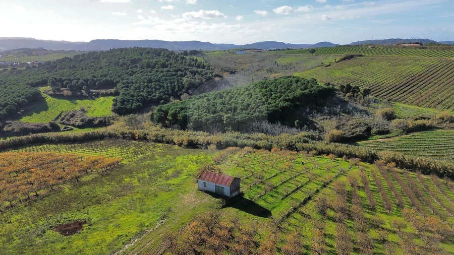 Terreno para Venda em Turcifal Foto 10