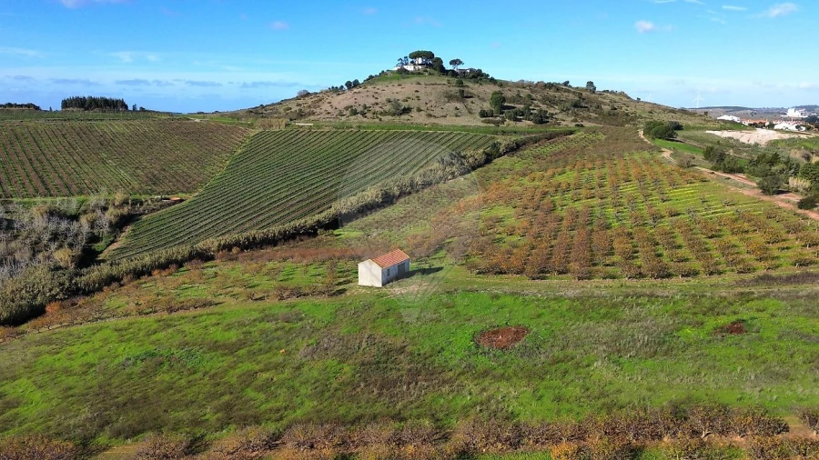 Terreno para Venda em Turcifal Foto 8