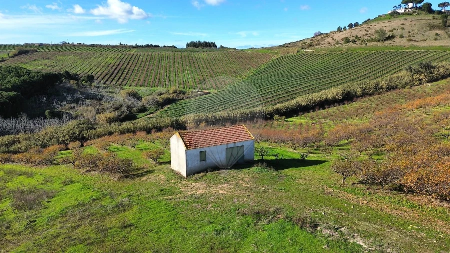 Terreno para Venda em Turcifal Foto 9