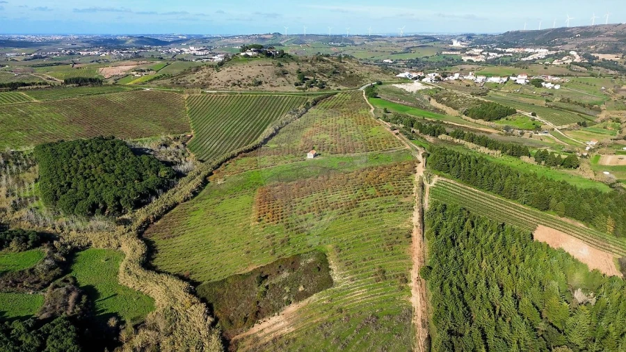 Terreno para Venda em Turcifal Foto 4