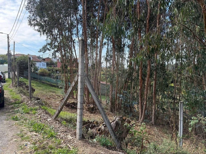 Terreno para Venda em Macieira de Cambra Foto 2