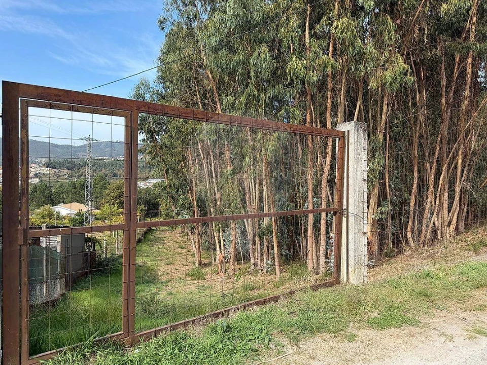 Terreno para Venda em Macieira de Cambra Foto 3