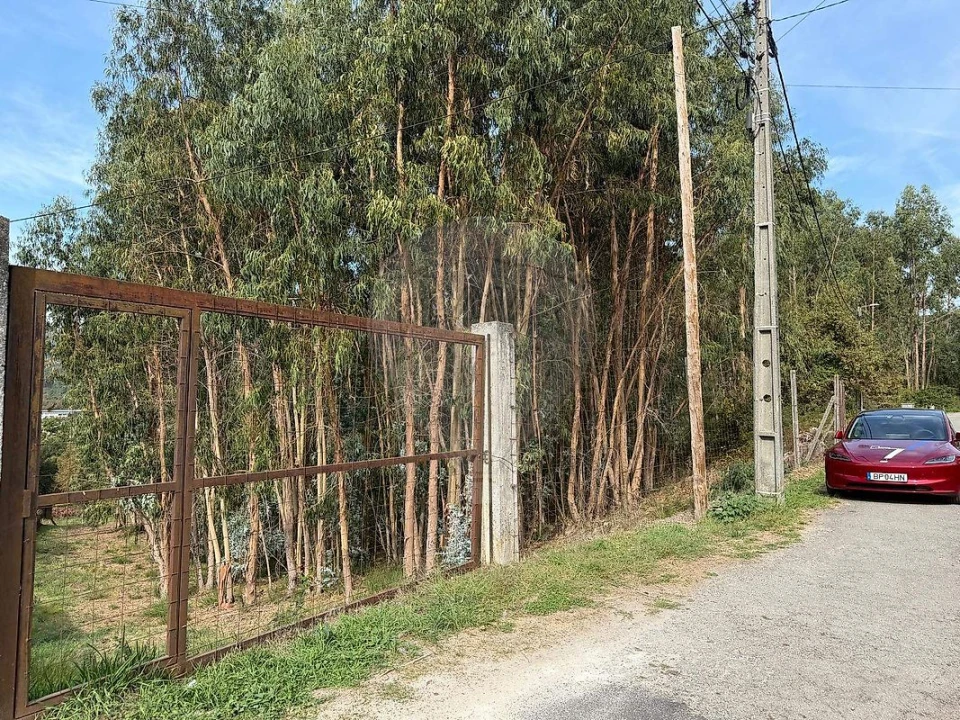 Terreno para Venda em Macieira de Cambra Foto 1