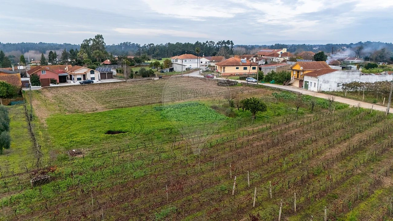 Terreno para Venda em Bustos, Troviscal e Mamarrosa Foto 4