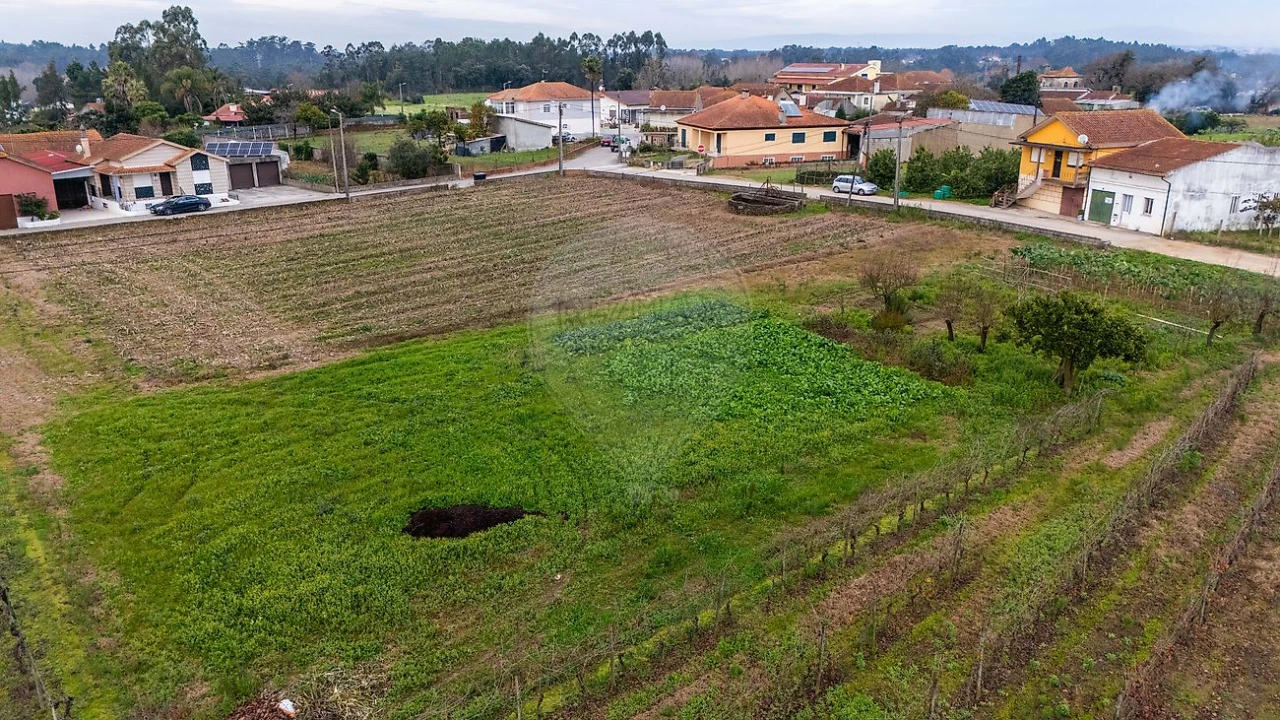 Terreno para Venda em Bustos, Troviscal e Mamarrosa Foto 3