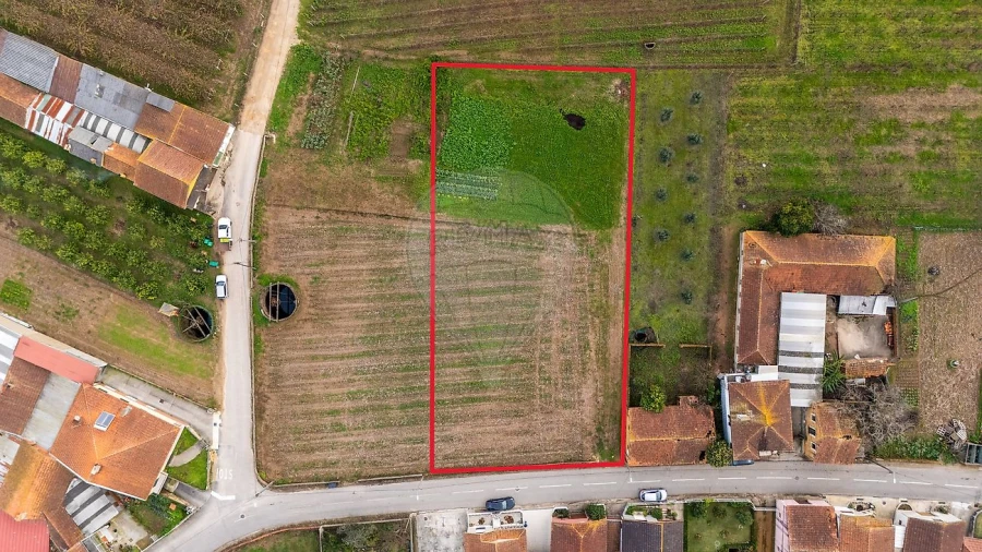 Terreno para Venda em Bustos, Troviscal e Mamarrosa Foto 1