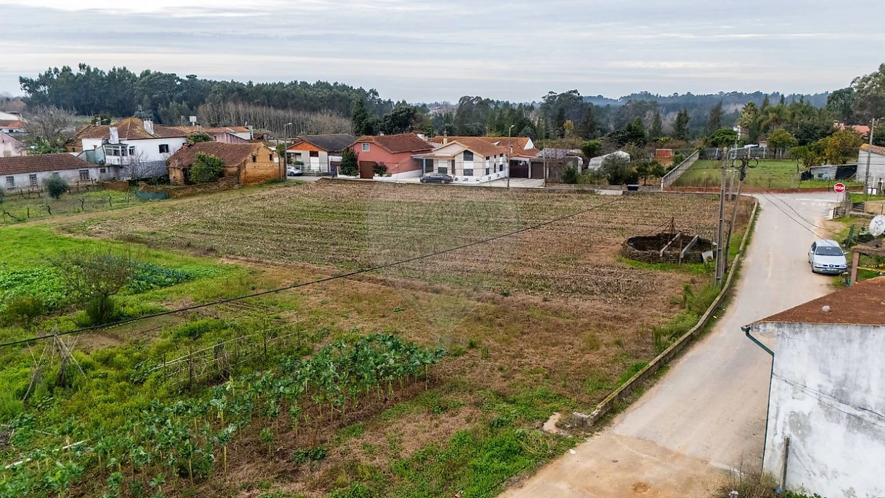 Terreno para Venda em Bustos, Troviscal e Mamarrosa Foto 2