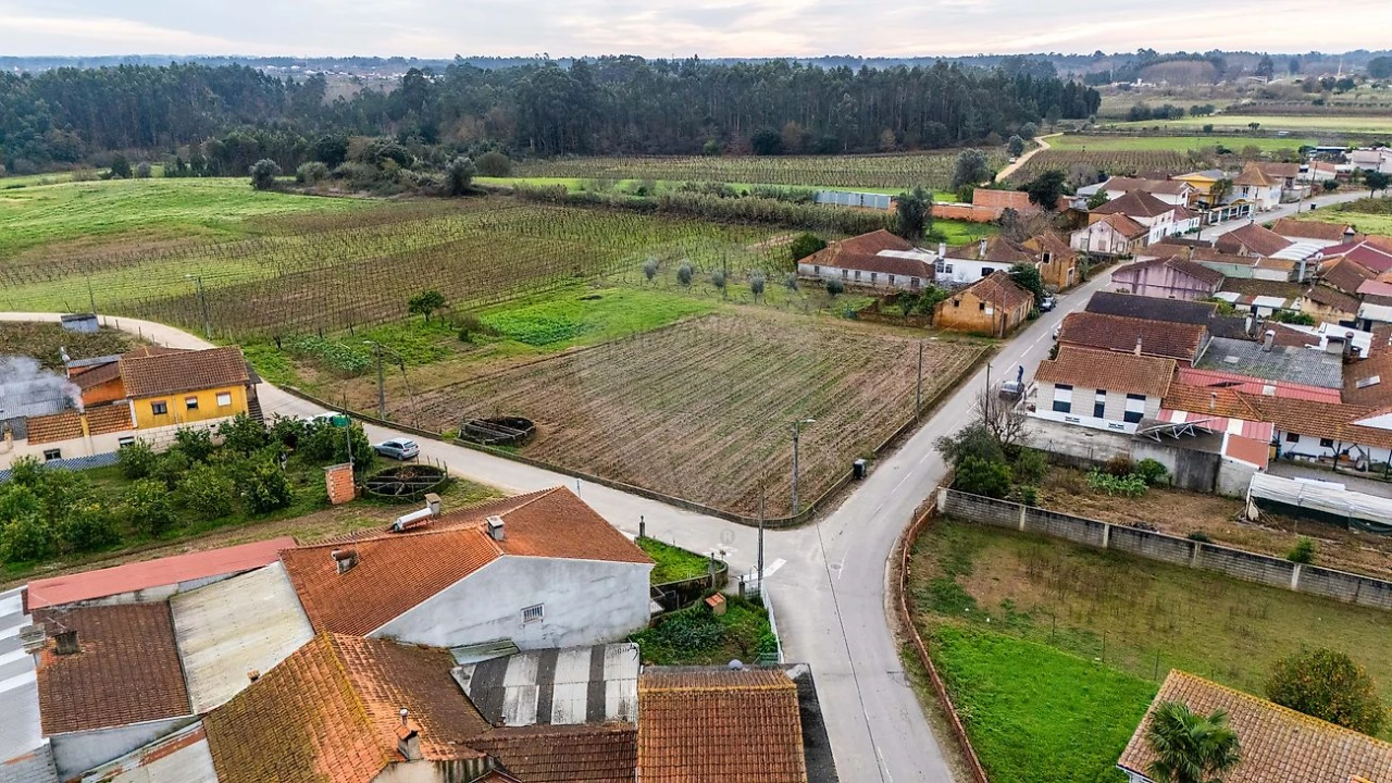 Terreno para Venda em Bustos, Troviscal e Mamarrosa Foto 13