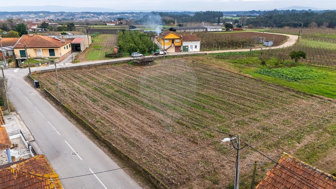 Terreno para Venda em Bustos, Troviscal e Mamarrosa Foto 12